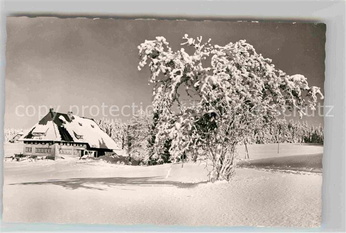 Furtwangen Hoehengasthaus Martinskapelle