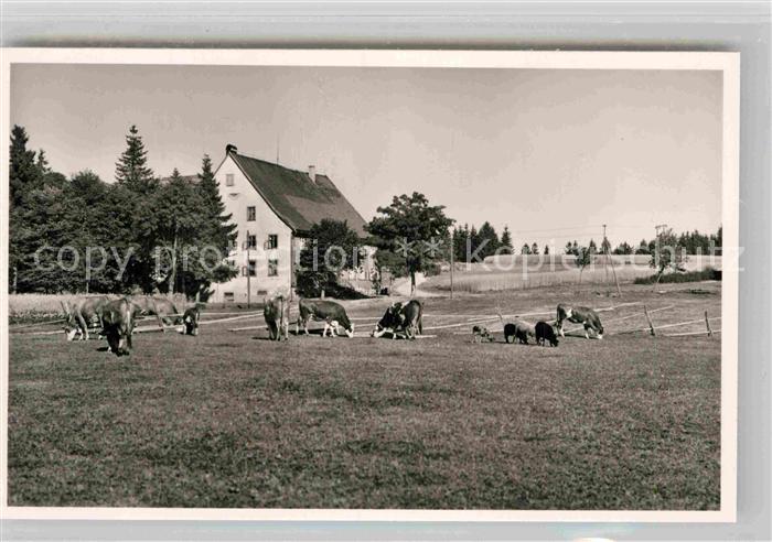 Schoenwald Schwarzwald Wintersportplatz Escheck