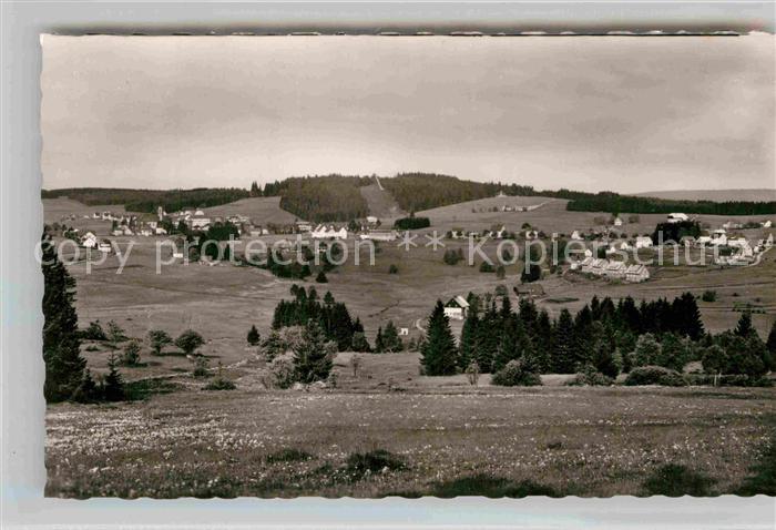 Schoenwald Schwarzwald Panorama