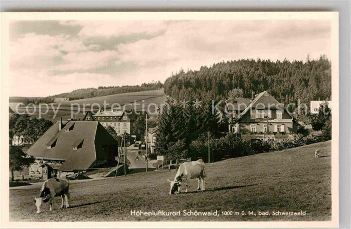 Schoenwald Schwarzwald Teilansicht