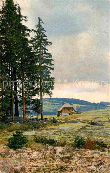 Triberg Schwarzwald Schwarzwaldhaus