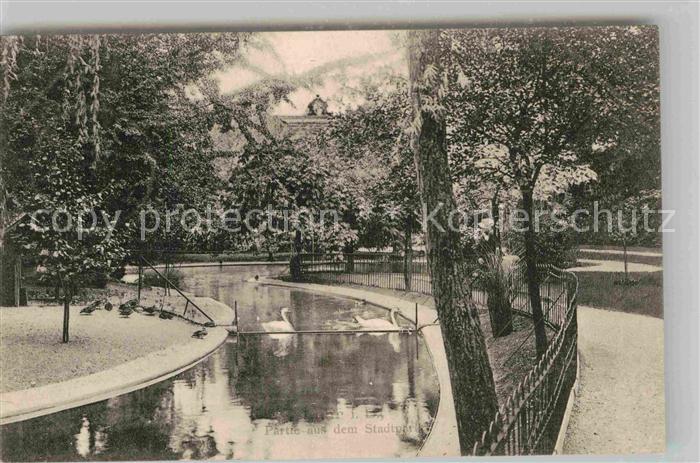 Lahr Schwarzwald Partie im Stadtpark