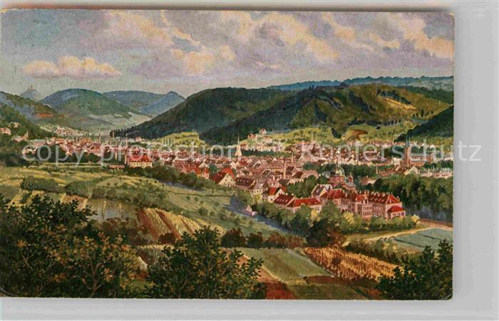 Lahr Schwarzwald Panorama