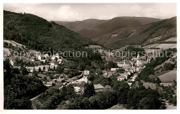 Bad Peterstal-Griesbach Panorama