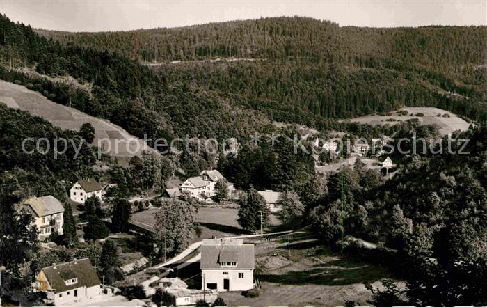 Bad Rippoldsau Schwarzwald Panorama