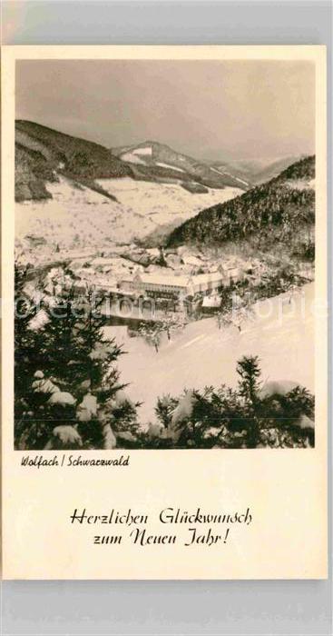 Wolfach Panorama mit Schloss