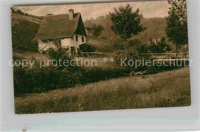 Schenkenzell Blumige Au