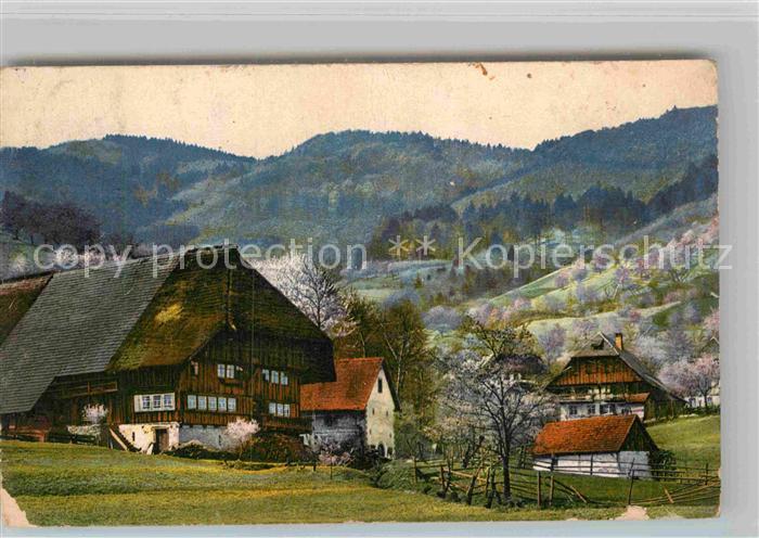 Gutach Schwarzwald Schwarzwaldhaeuser