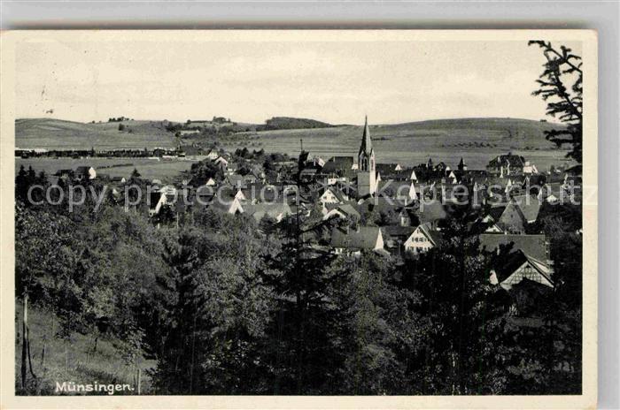 Muensingen Panorama