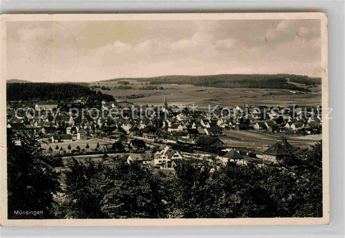 Muensingen Panorama