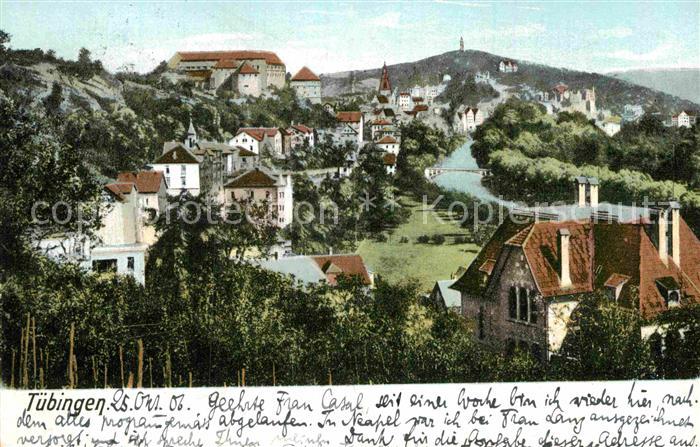 TueBINGEN BW Panorama