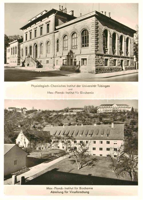 TueBINGEN BW Max Planck Institut