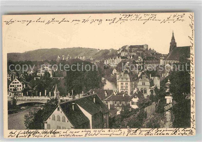 TueBINGEN BW Panorama