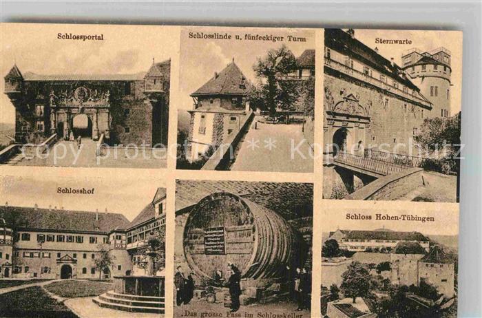 TueBINGEN BW Schloss Schlossportal Schlosslinde Sternwarte