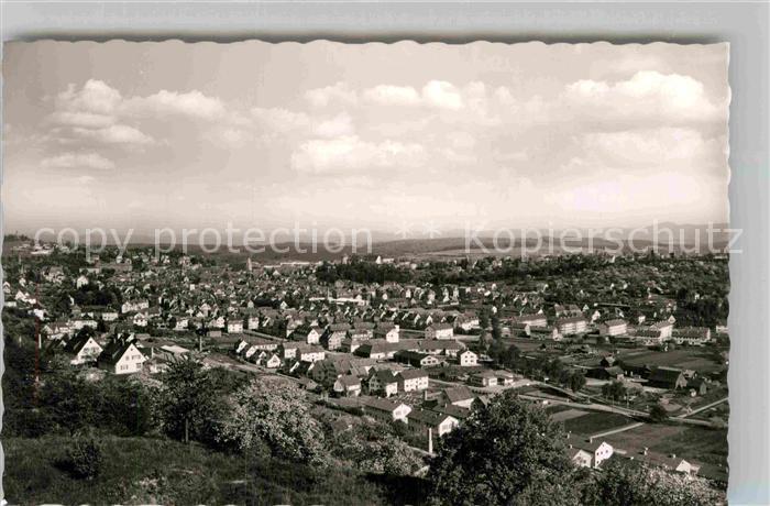 TueBINGEN BW Panorama Ammertal Vorstadt