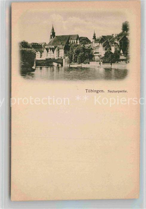 TueBINGEN BW Neckarpartie