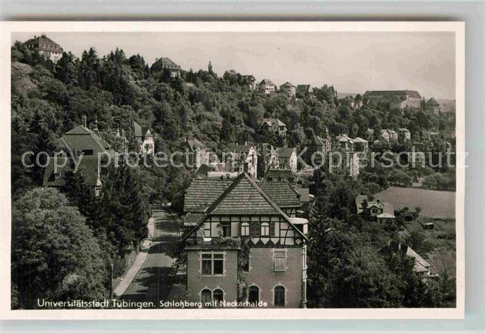 TueBINGEN BW Schlossberg Neckarhalde