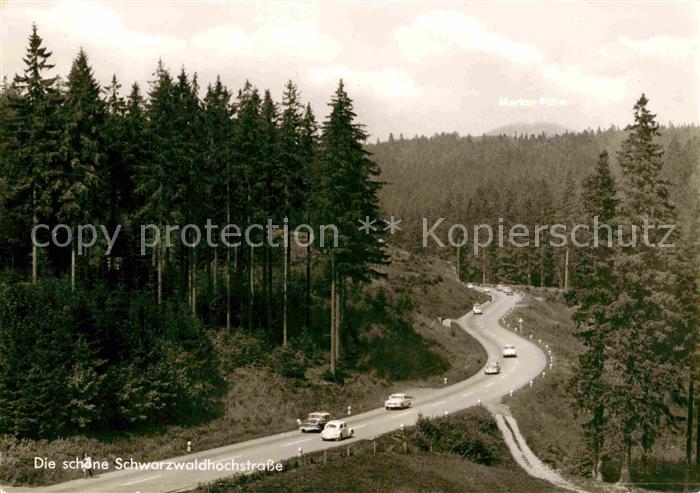 Schwarzwaldhochstrasse Teilansicht