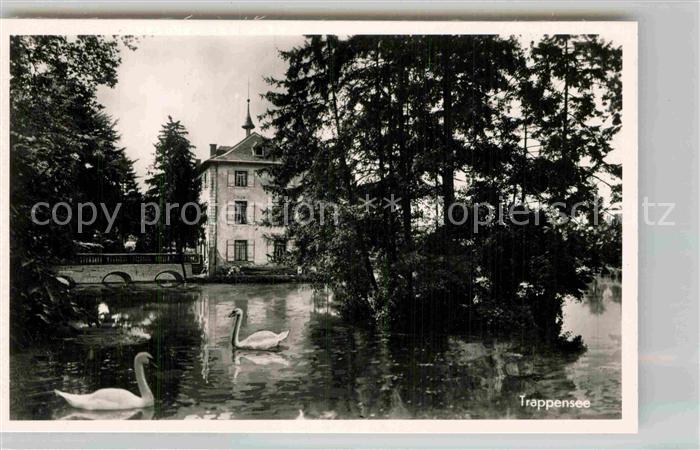 Heilbronn Neckar Trappsee Gaststaette