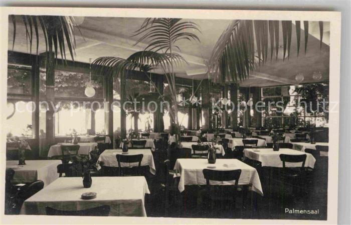 Meersburg Bodensee Wilder Mann Palmensaal