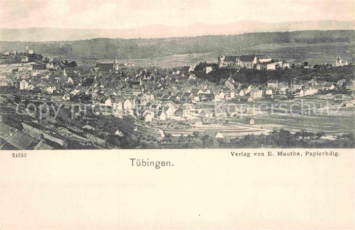 TueBINGEN BW Panorama