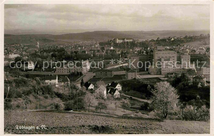 TueBINGEN BW Panorama