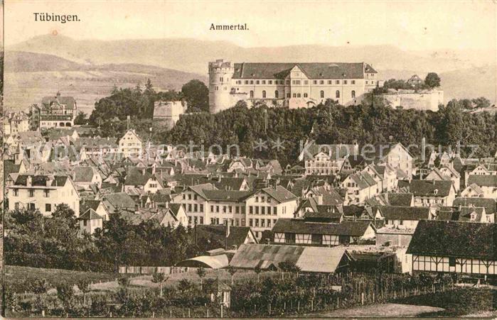 TueBINGEN BW Ammertal Schloss