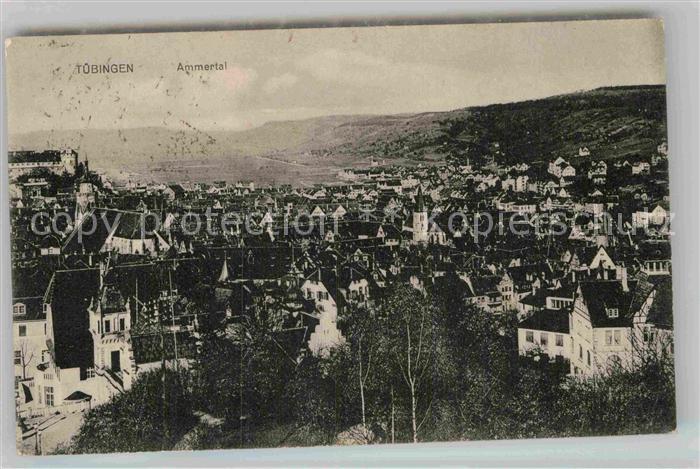 TueBINGEN BW Ammertal