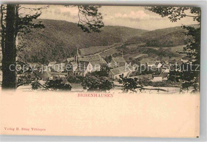 Bebenhausen Tuebingen Panorama