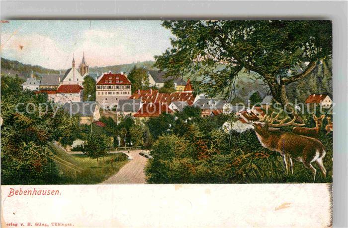 Bebenhausen Tuebingen Teilansicht