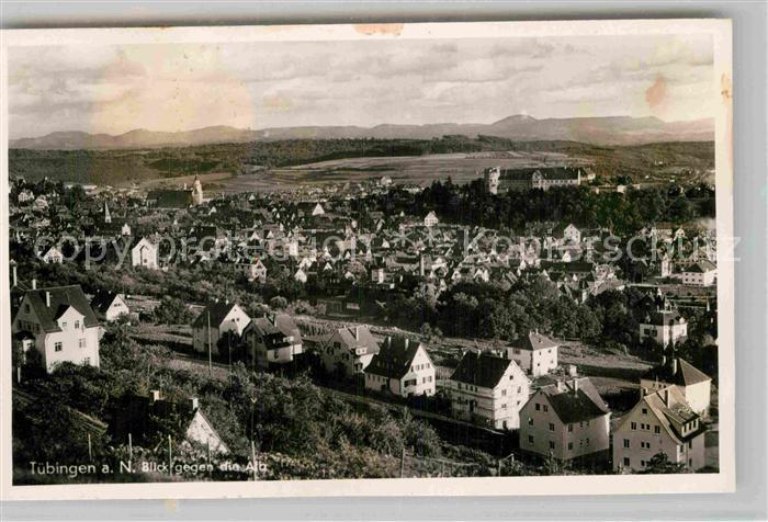 TueBINGEN BW Panorama