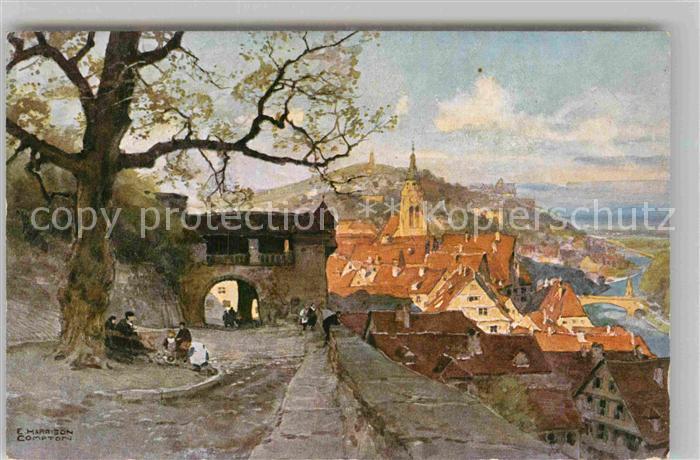 TueBINGEN BW Blick von der Schlosslinde