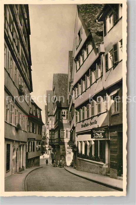 TueBINGEN BW Weinstube Forelle