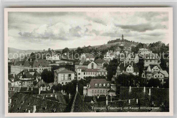 TueBINGEN BW oesterberg mit Kaiser Wilhelmturm