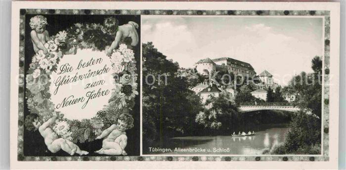 TueBINGEN BW Alleenbruecke und Schloss