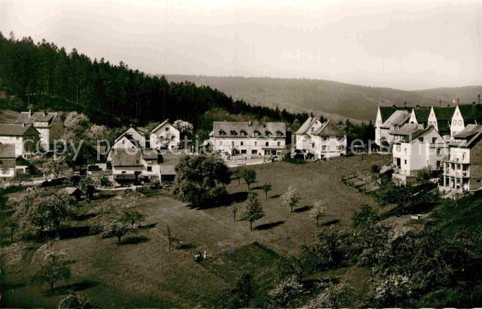 Wilhelmsfeld Panorama