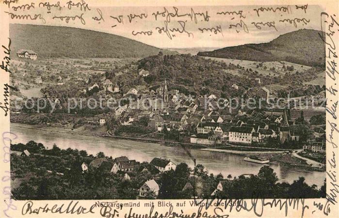 Neckargemuend Panorama Viktor Lenel Stift