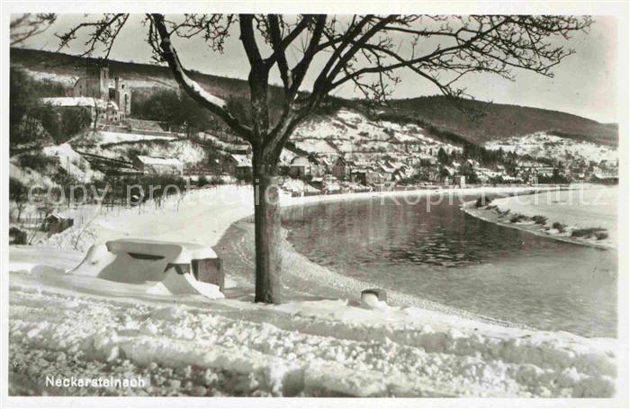 Neckarsteinach Winterlandschaft