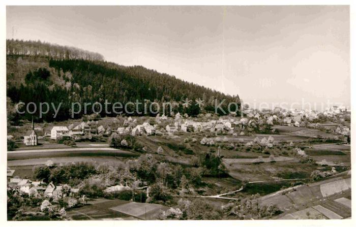 Wilhelmsfeld Panorama