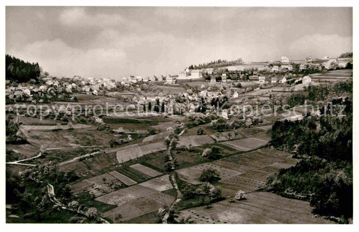 Wilhelmsfeld Panorama