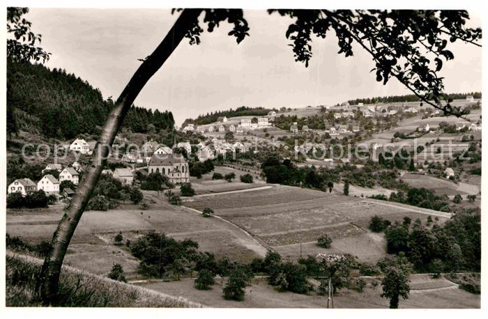 Wilhelmsfeld Panorama