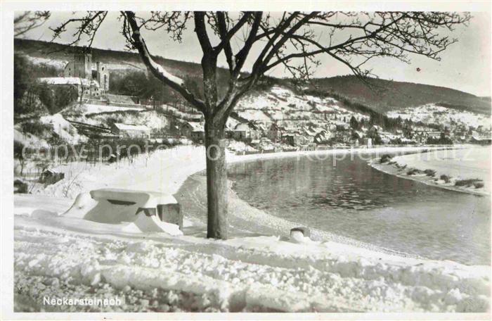Neckarsteinach Winterlandschaft