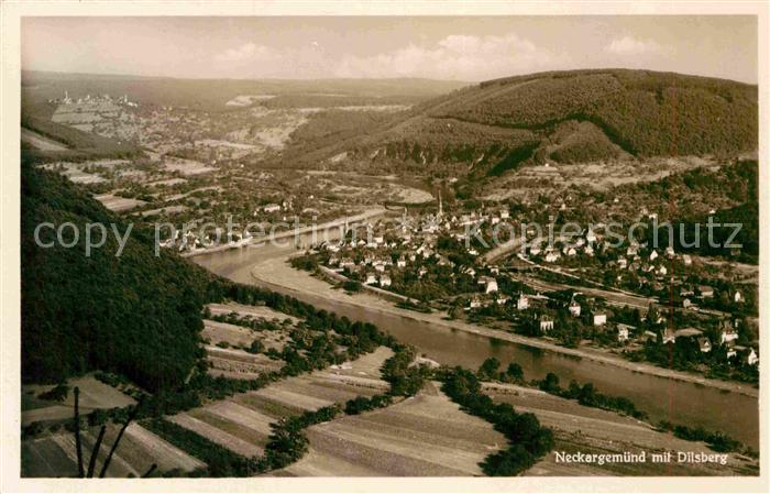 Neckargemuend Fliegeraufnahme