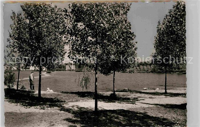 Schifferstadt Schwanenweiher