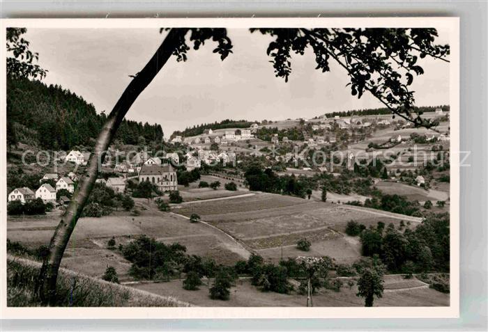 Wilhelmsfeld Panorama