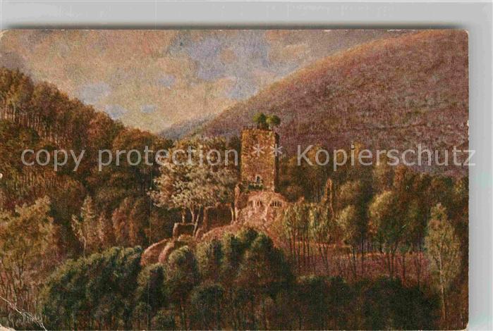 Neckarsteinach Hinterburg