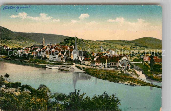 Neckargemuend Panorama