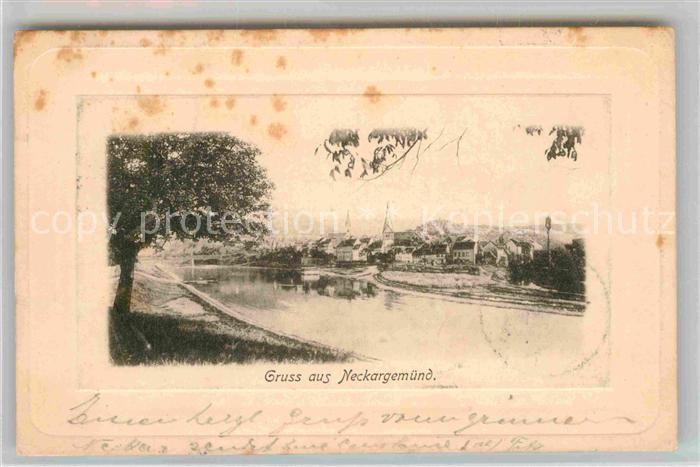 Neckargemuend Panorama