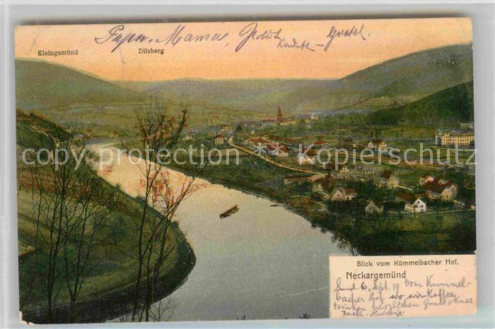 Neckargemuend Panorama Blick vom Kuemmelbacher Hof