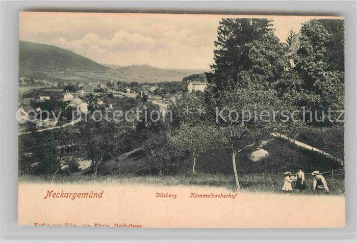 Neckargemuend Dilsberg Kuemmelbacherhof